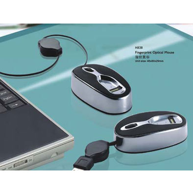 ָ�y���